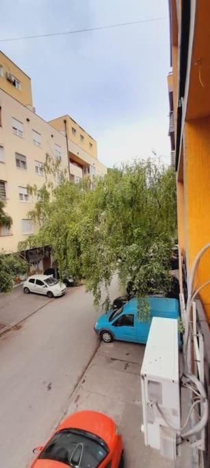 Apartment Marko